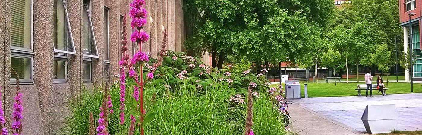 Floral border outside Humanities Bridgeford Street - home of CMIST